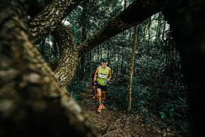 BIB: 
                            <button type="button" onclick="openModal(25665969)" class="btn btn-primary btn-sm float-right btn-popup" data-toggle="modal" data-target=".modal-high-quality">
                        <i class="fas fa-shopping-cart"></i> Add to Cart
                    </button>
                                            <button type="button" onclick="isThisMe(25665969, true)" class="btn btn-success btn-sm float-right btn-popup btn-isme hidden" data-toggle="tooltip" data-placement="bottom" title="นี่คือรูปของคุณใช่ไหม คลิกที่นี่เพื่อเอาเข้าอัลบั้ม">
                        <i class="fas fa-plus"></i> Add to album
                    </button>
                    <button type="button" onclick="isThisMe(25665969, false)" class="btn btn-warning btn-sm float-right btn-popup btn-isnotme hidden">
                        <i class="fas fa-ban"></i> Remove from album
                    </button>